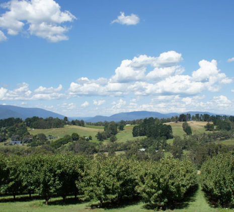Seville Hill