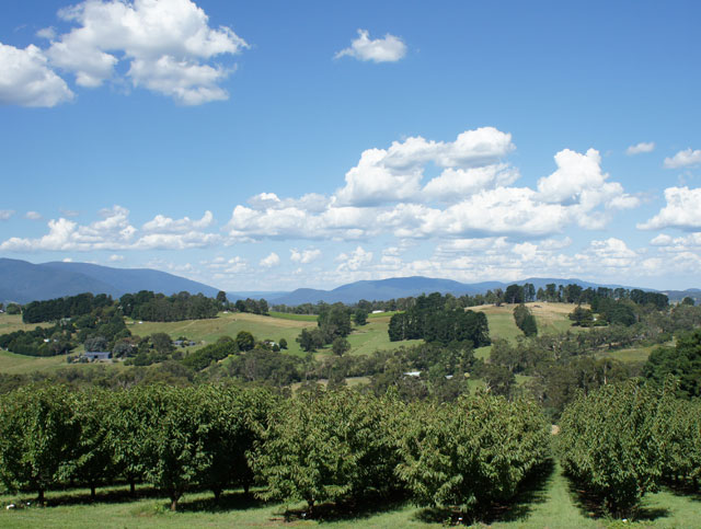 Seville Hill