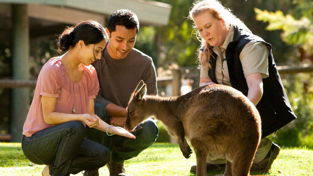 Healesville Sanctuary