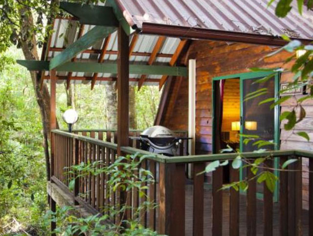 Welcome To Woodlands Rainforest Retreat