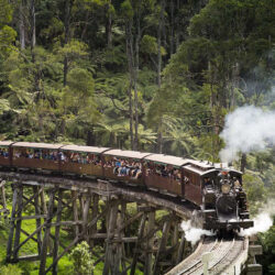 Belgrave - (Dandenong Ranges)