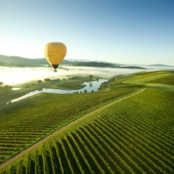 Coldstream - (Yarra Valley)