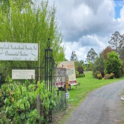Ferny Creek - (Dandenong Ranges)